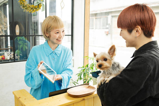 Healthy Pet Food Guide: What to Feed Your Dog and Cat