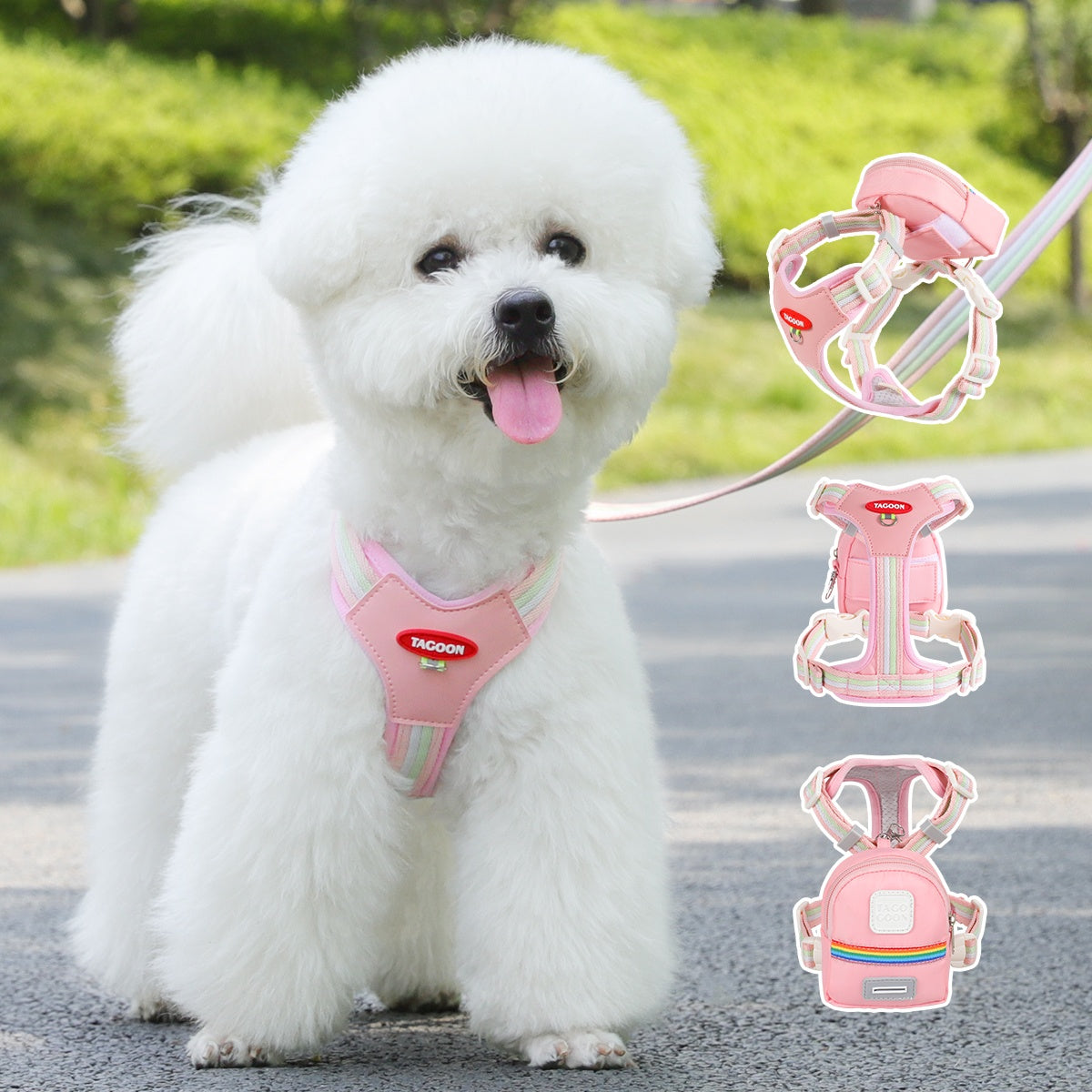 Dog  & Cat Harnesses & Leashes